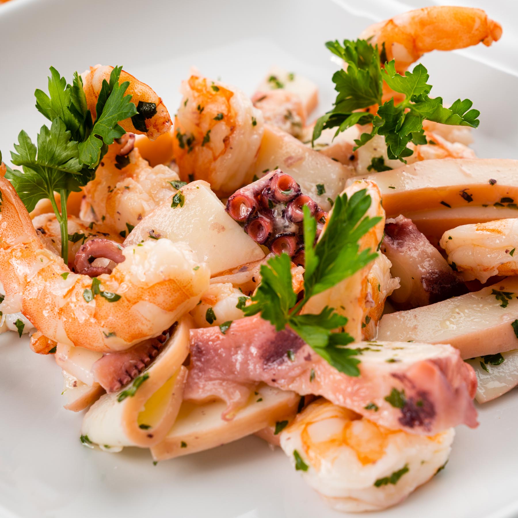 700245-1895-insalata_mare-4