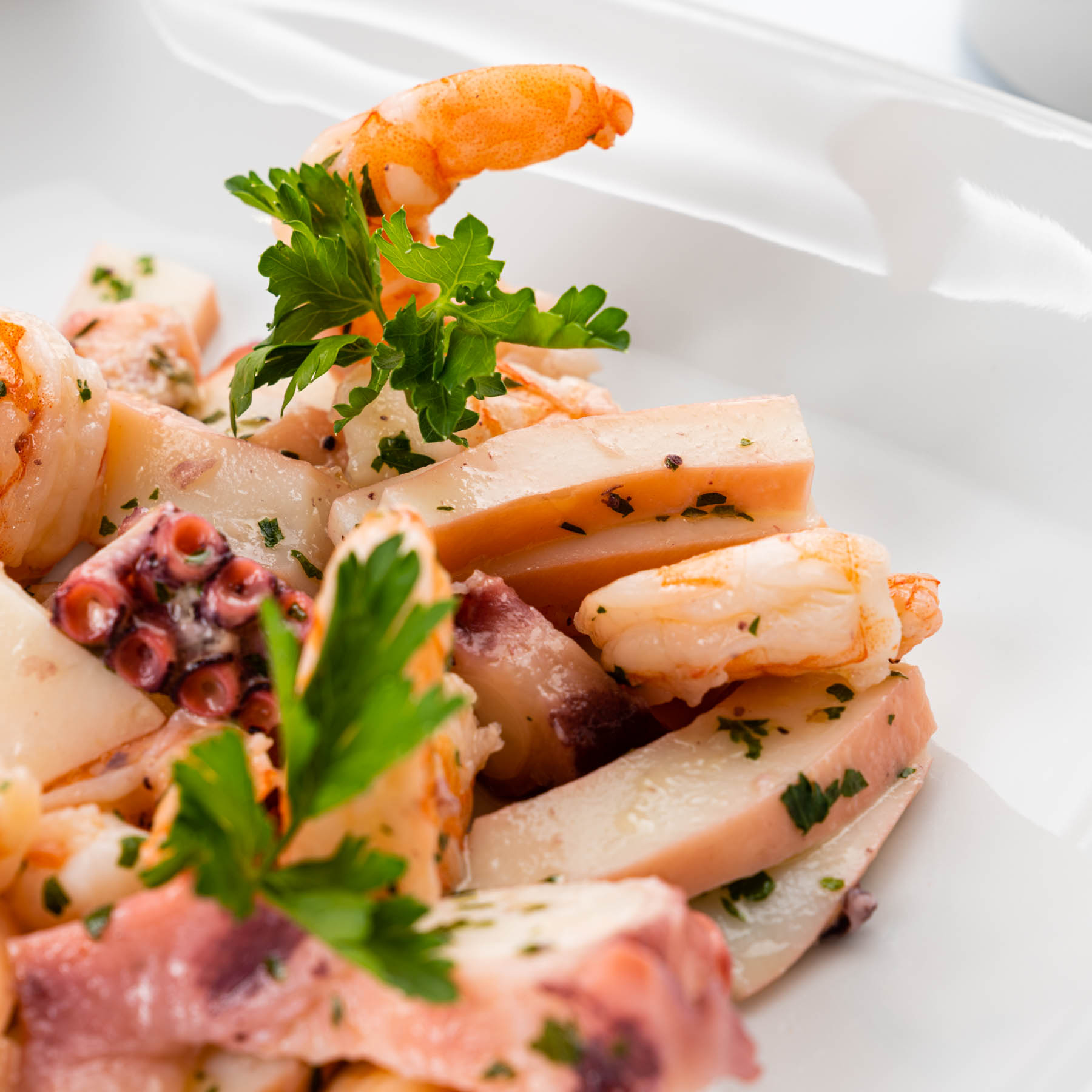 700245-1895-insalata_mare-7