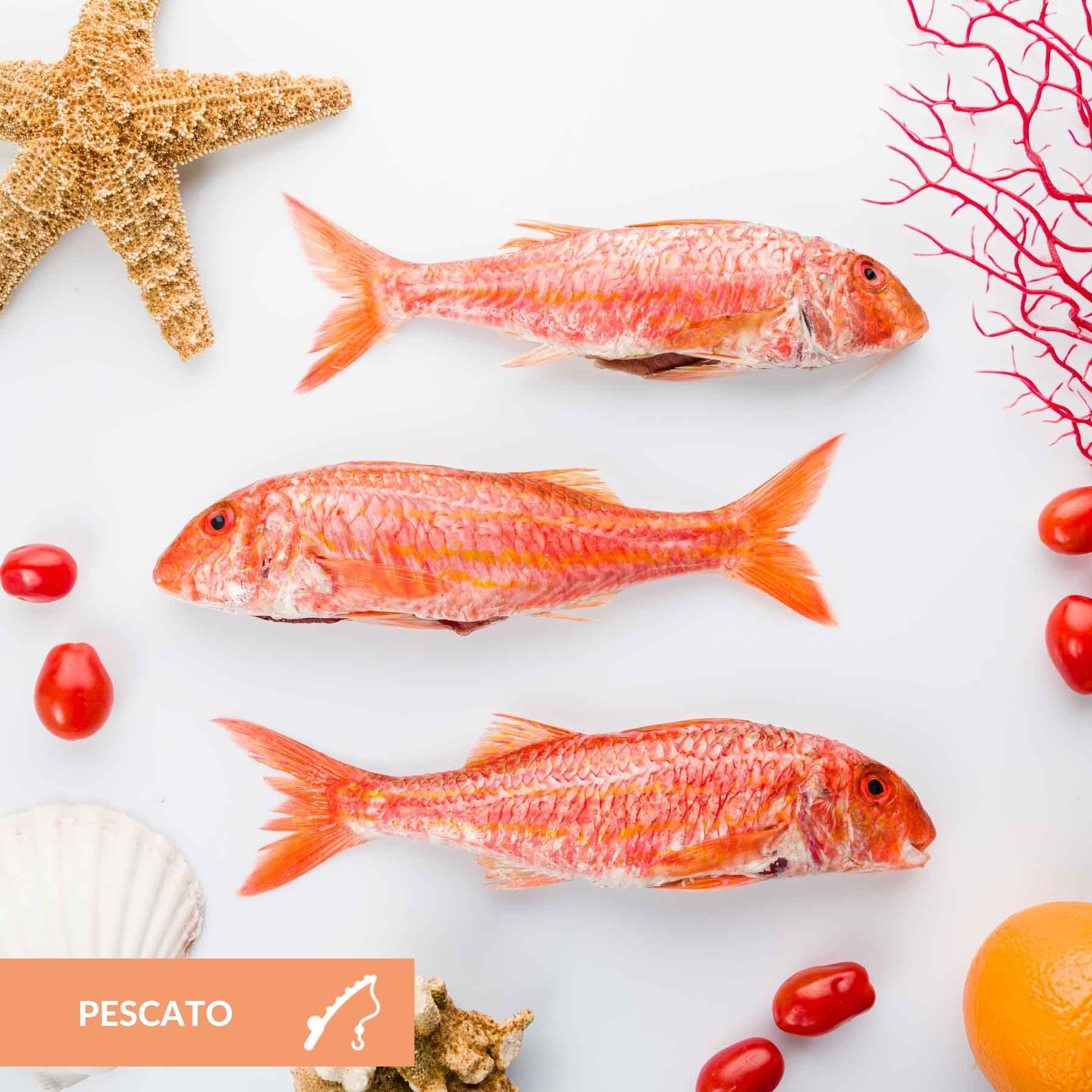 triglia_pescato